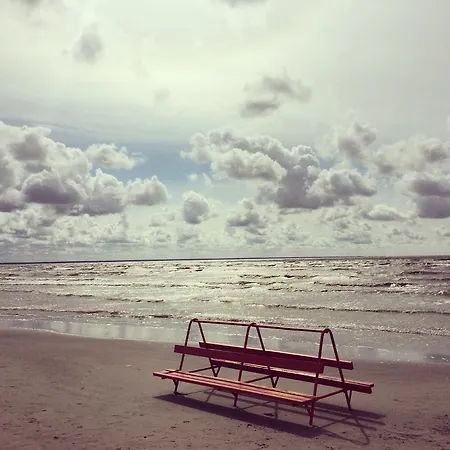 Διαμέρισμα Vintage Studio